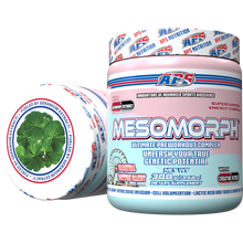 Load image into Gallery viewer, MESOMORPH