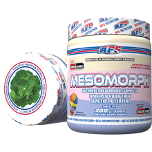 Load image into Gallery viewer, MESOMORPH