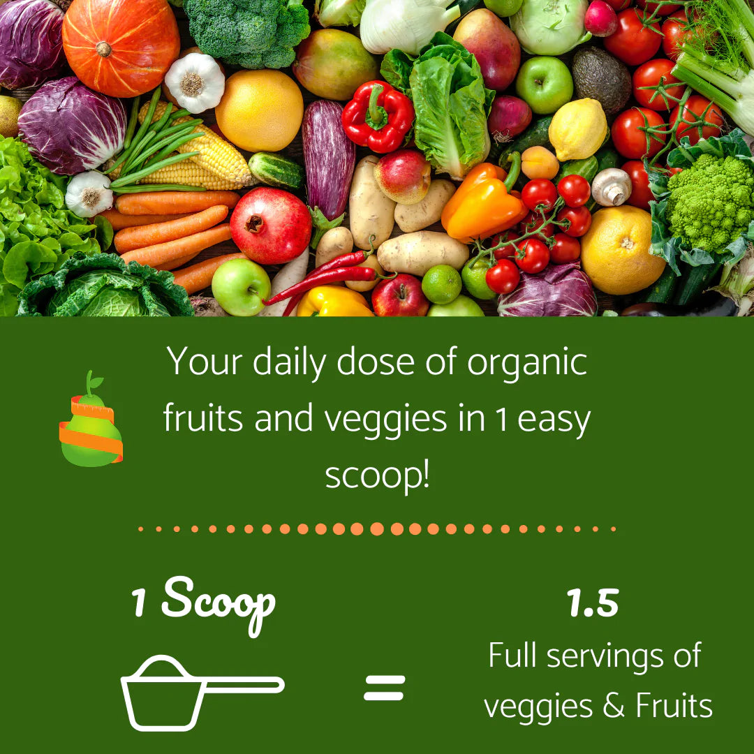 PHYTO FUEL SUPERGREENS + FIBER + PROBIOTIC